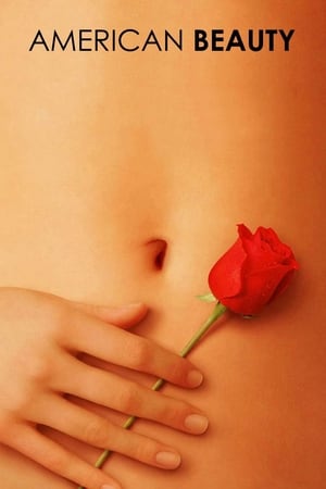 American Beauty 1999 Hindi Dual Audio - Movierulz