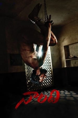 Naandhi (2021) (Hindi – Telugu) Dual Audio – 480p