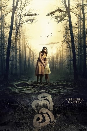 Neeli (2018) (Hindi – Malayalam) Dual Audio [1.2GB] - Movierulz