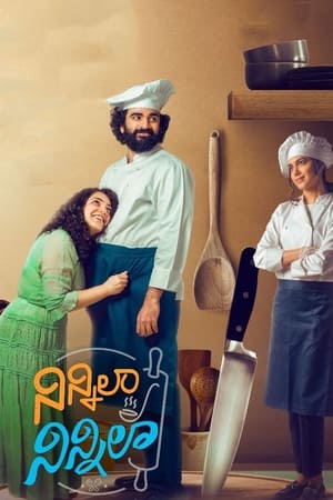 Ninnila Ninnila (2021) Hindi Movie [1GB]