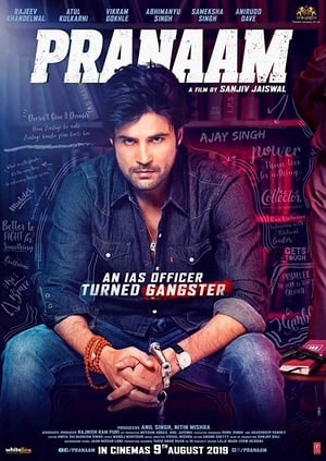 Pranaam (2019) Hindi Movie [940MB]