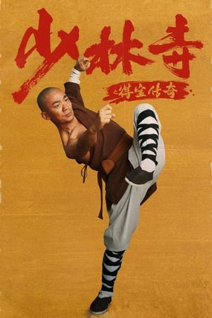 Rising Shaolin: The Protector (2021) Hindi Dual Audio – 480p