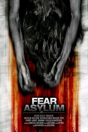 Room 33 (2009) Hindi Dual Audio 300MB
