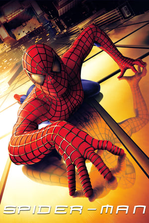 Spider-Man (2002) Hindi Dual Audio [820MB]