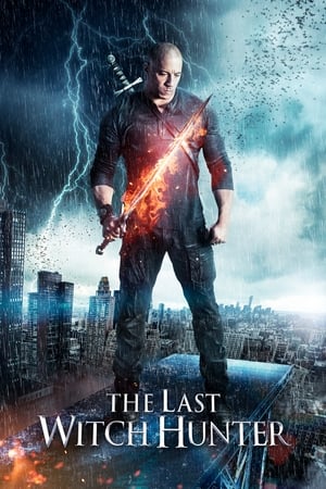 The Last Witch Hunter (2015) Hindi Dual Audio [940MB]